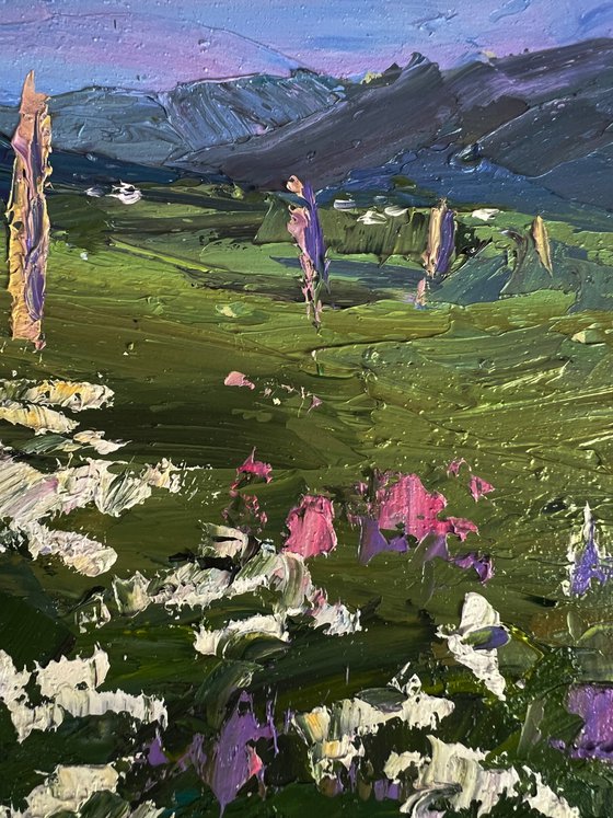 Flowering Mountain Fields