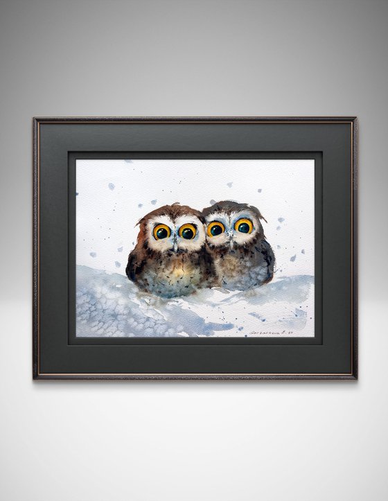 Owl duet in the snow