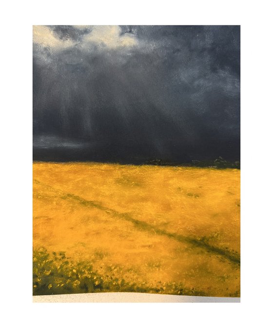Feld unter Wolken