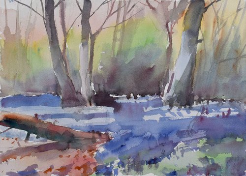 Bluebell woods ,Cornwall new 18a by Goran Žigolić Watercolors