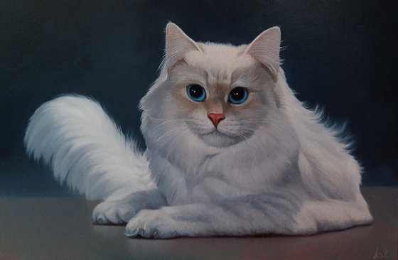 White cat (40x50cm, oil painting, ready to hang)