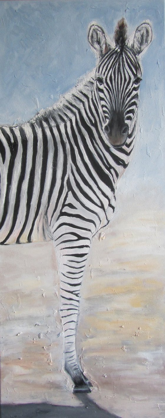 White-to-Black Zebras