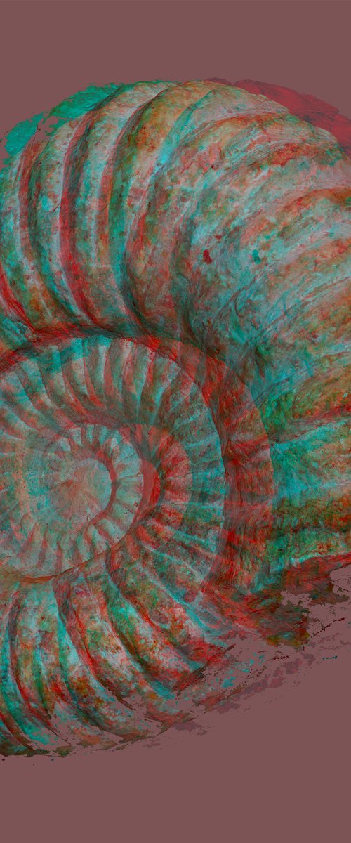 Ammonite - Digital Art by Richard Jones & Chieko Jones