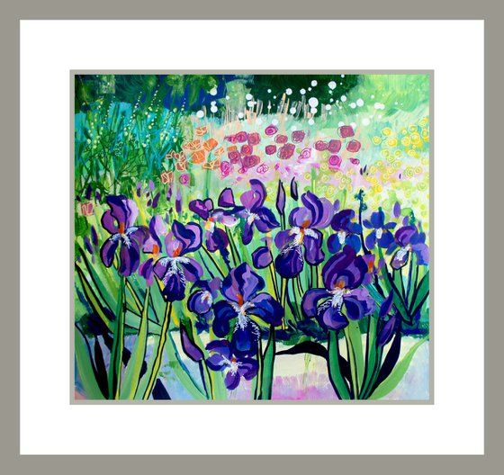 Iris Border
