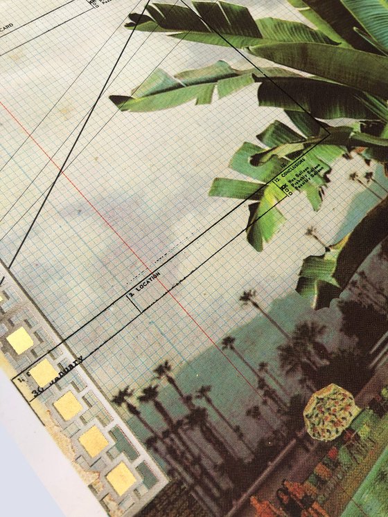 Underneath the Palms