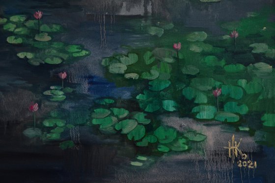 Lily pond. Petrichor