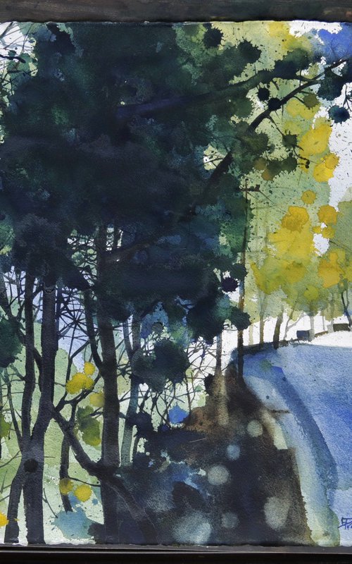 Road through sparkling forest by Prashant Prabhu