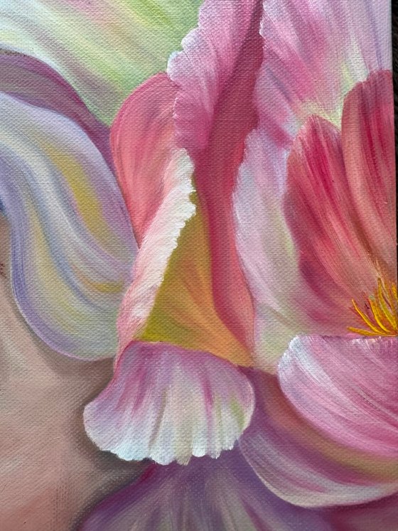 In floral tenderness