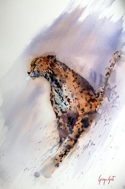 cheetah 9 by Giorgio Gosti