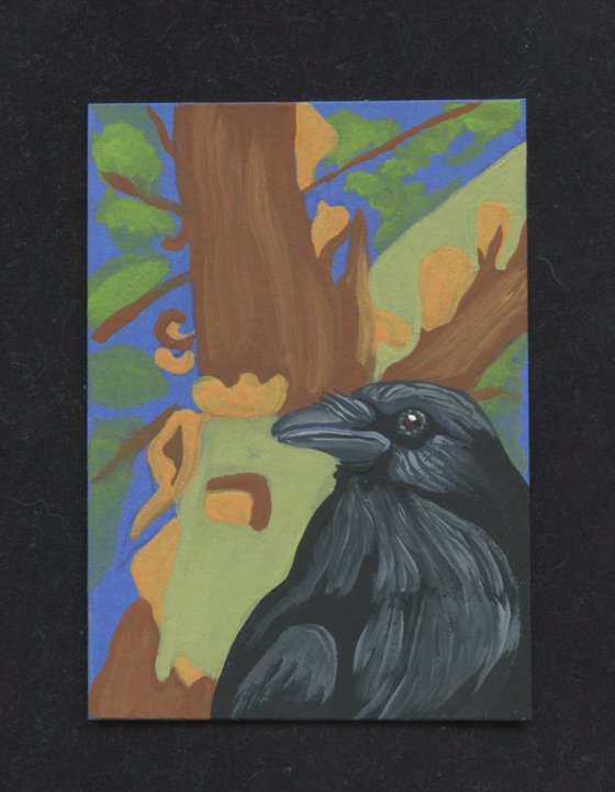 ACEO ATC Original Miniature Painting Arbutus Tree Crow Raven Bird Wildlife Art-Carla Smale