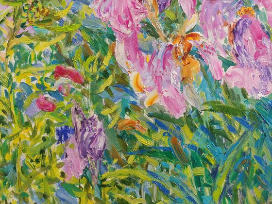 Irises in the light of the wind.