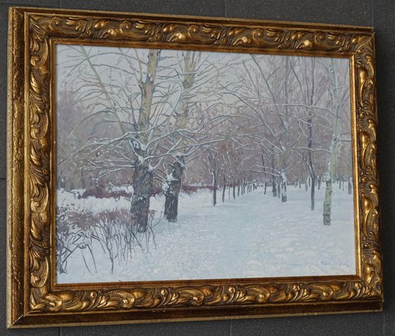 Snow-covered boulevard in Maryino