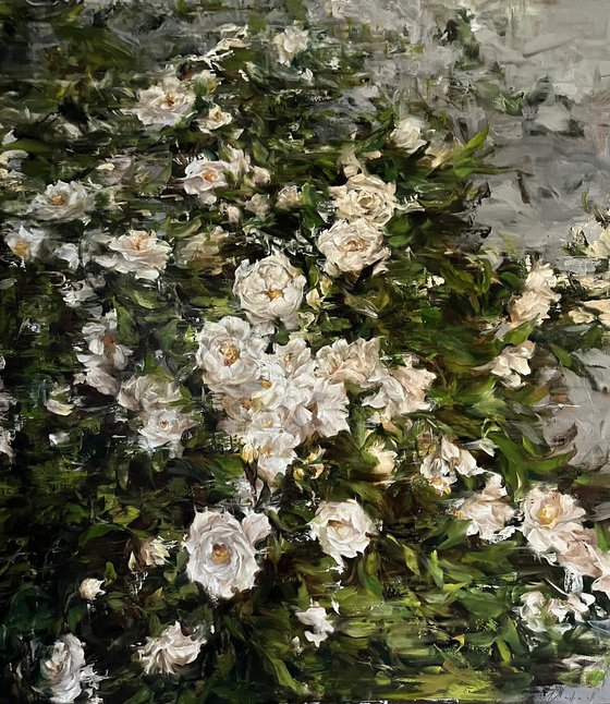 GARDEN ROSES
