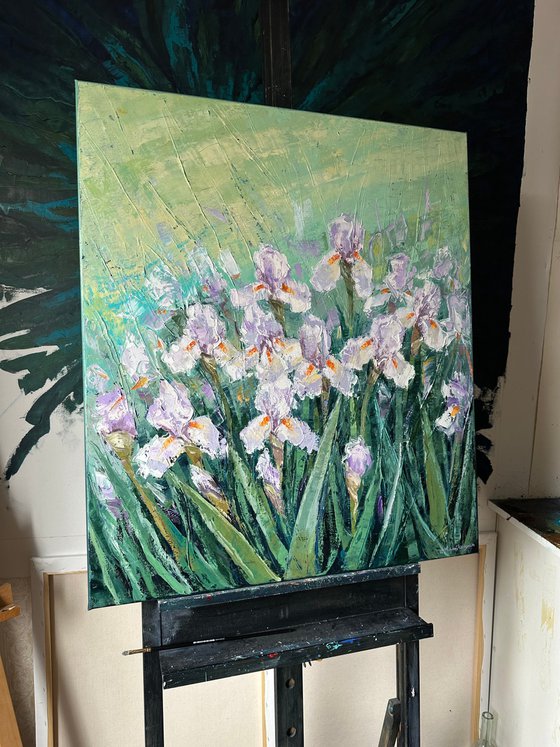 Irises 70x80cm