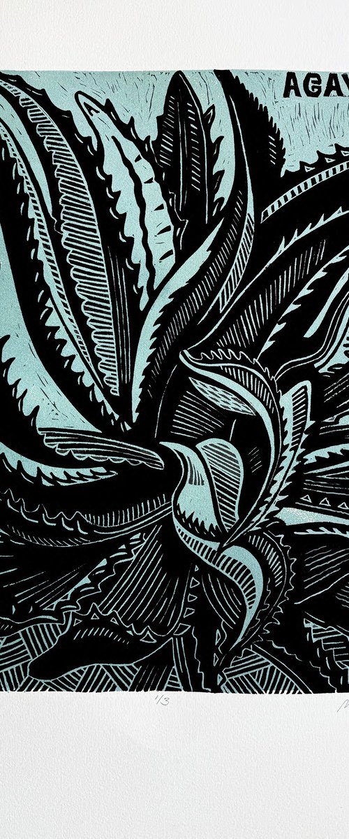 Agave by Laurel Macdonald