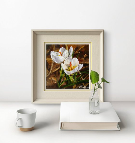 White Crocus Flowers