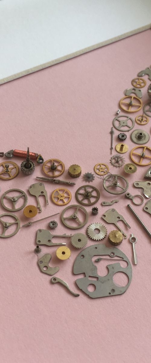 Time Flies (Pink) by Hernan Reinoso