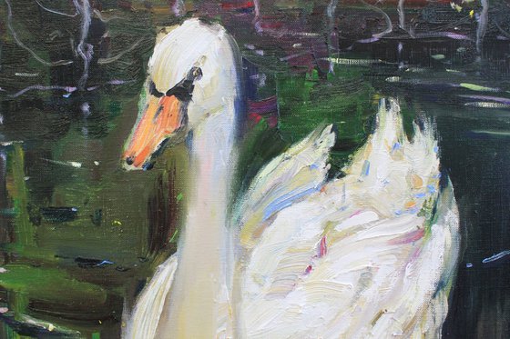 "Swans"