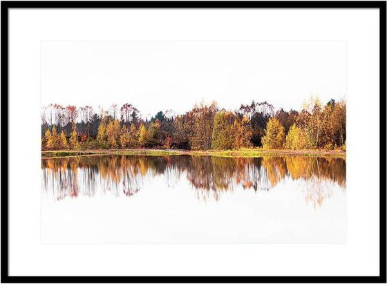 Autumn Reflections