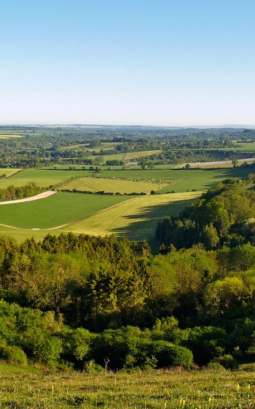 The Meon Valley in Spring Time by Alex Cassels