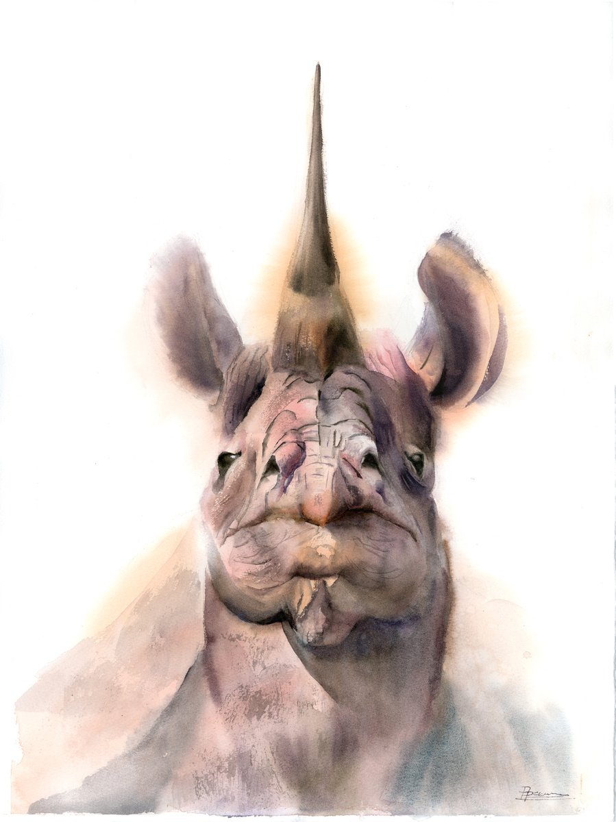 Photorealistic Watercolour , Rhino By Olga Tchefranov (Shefranov), 17 X 22, Artwork For Sale On Artfinder