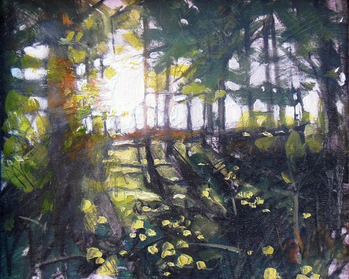 Morning Light through Trees V by Ben McLeod