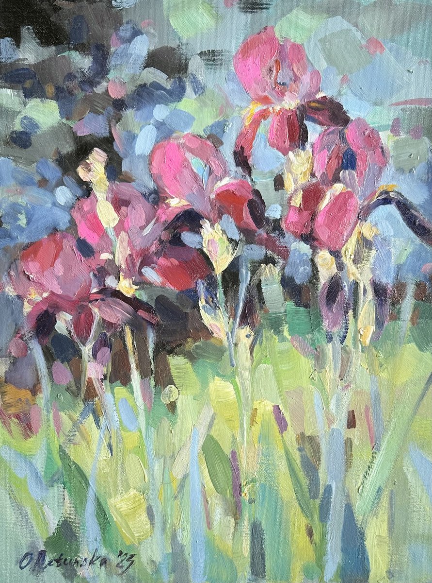 irises by Olha Retunska