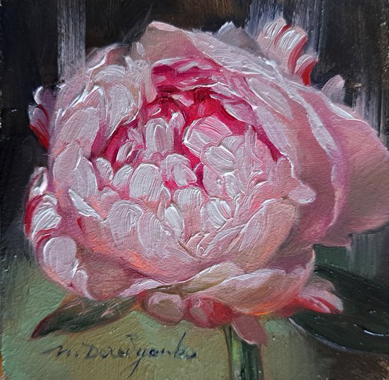 Small oil painting original framed art pink peony flower 4x4 in frame