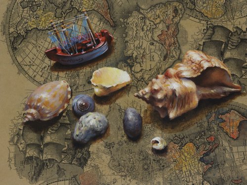 Seashells by Natalia Kakhtiurina