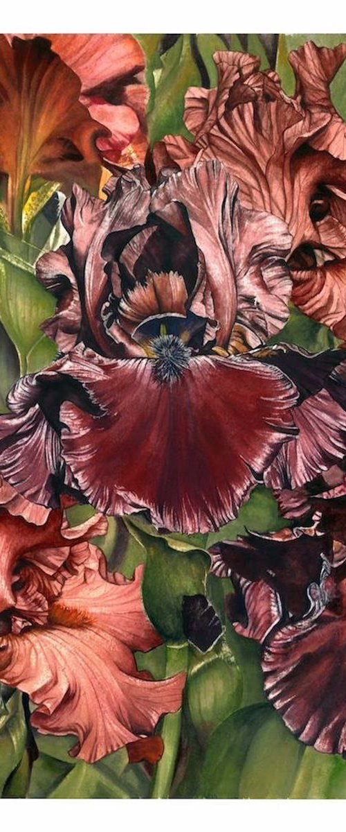 Copper Irises by Nicola Mountney