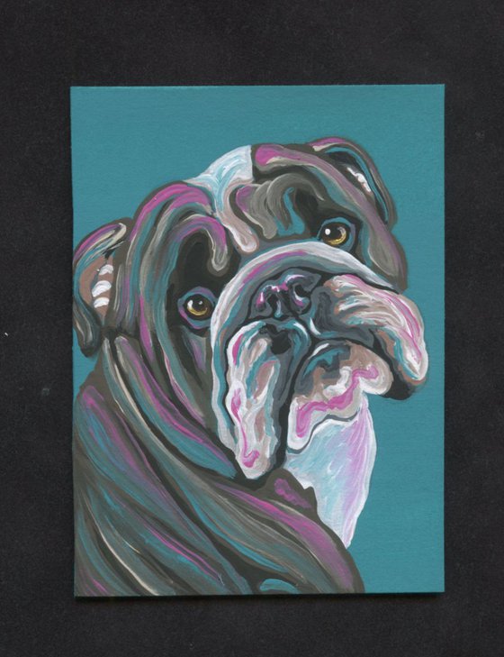 ACEO ATC Original Painting English Bulldog Pet Dog Art-Carla Smale