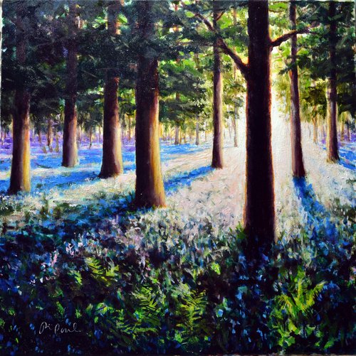 Woodland Morning by JON PAUL WILSON