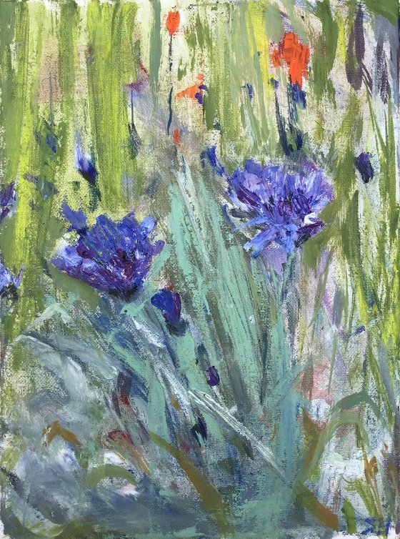 Cornflowers Study 2