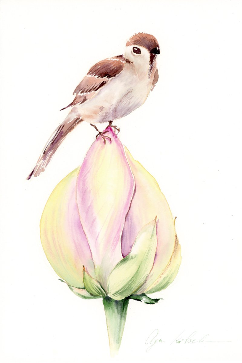 Impressionistic Animal Watercolour By Olga Koelsch, 8 X 12", Jay Bird On A Yelow Bud, Original Artwork