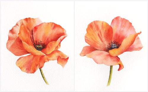 Red flowers, poppy painting, floral set of 2 by Olga Grigo