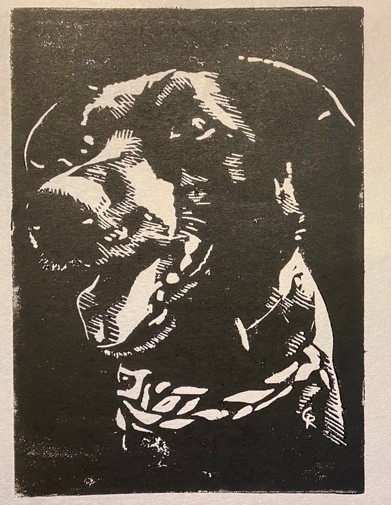 Xavian - a dog portrait
