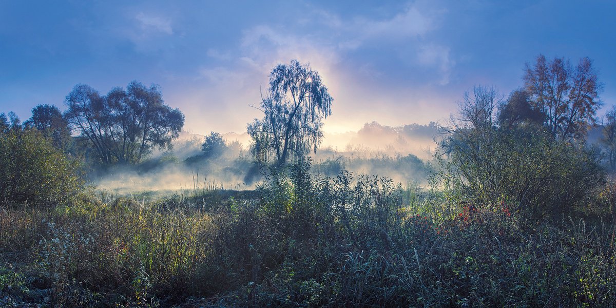 Photorealistic Landscape Photograph By Valerix, 39 X 20", Light Haze At Dawn., Original Artwork