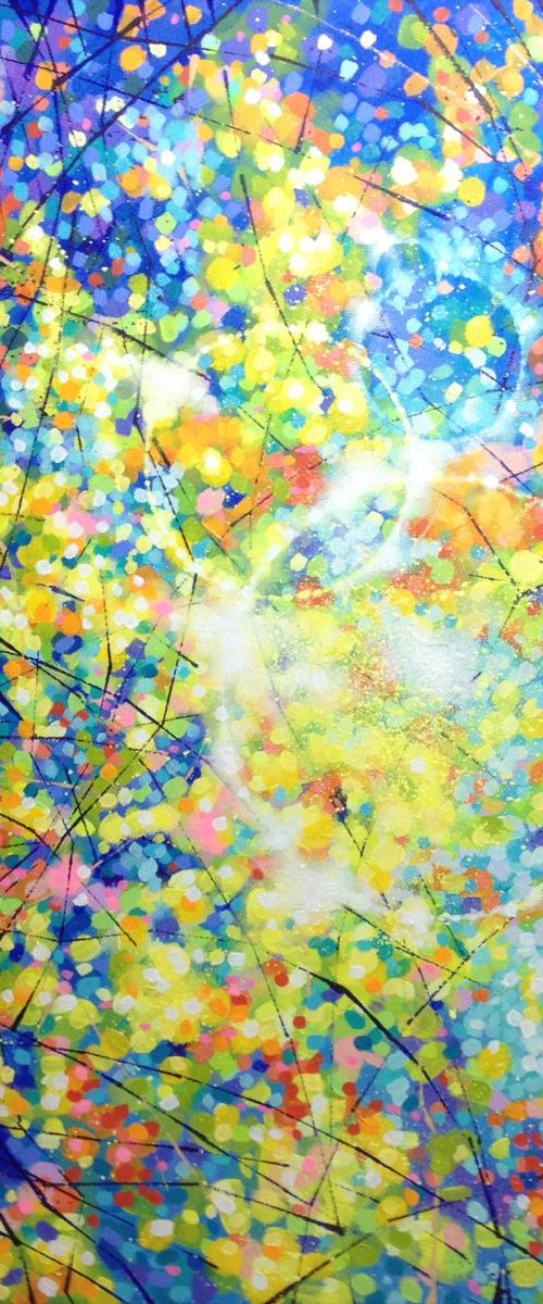 Light Circles by Marc Todd