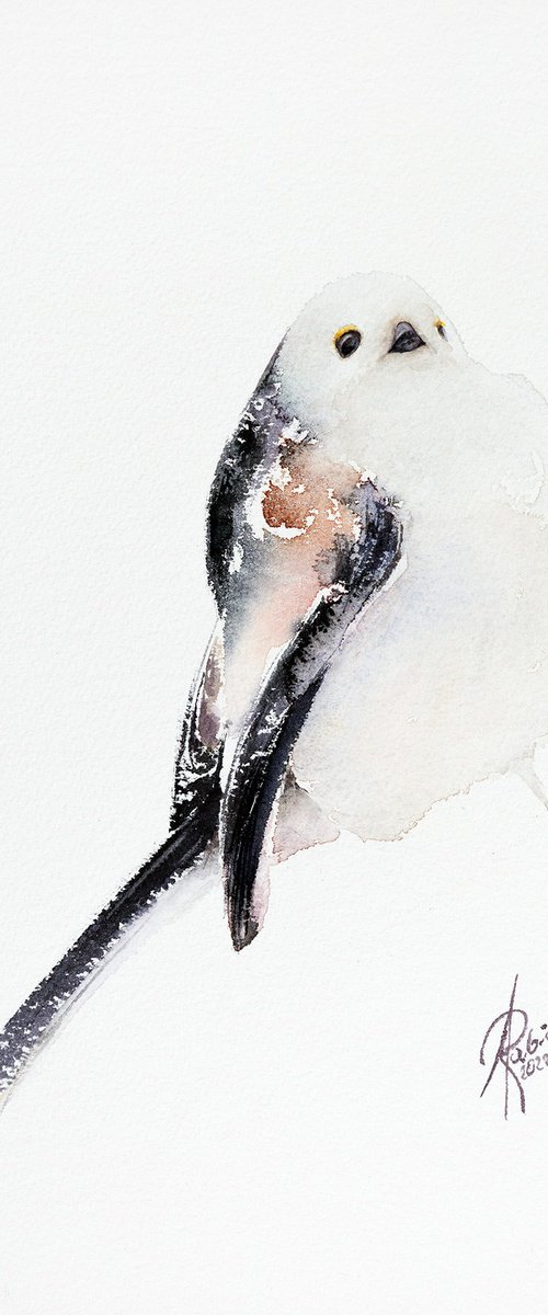 Long-Tailed Tit (Aegithalos caudatus) by Andrzej Rabiega