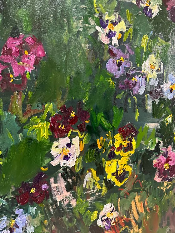 Pansies