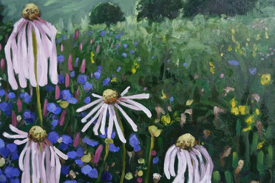 In fields of daisy's