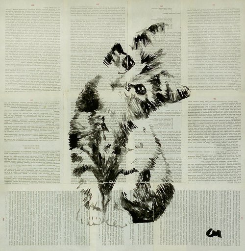 Cat by Marat Cherny