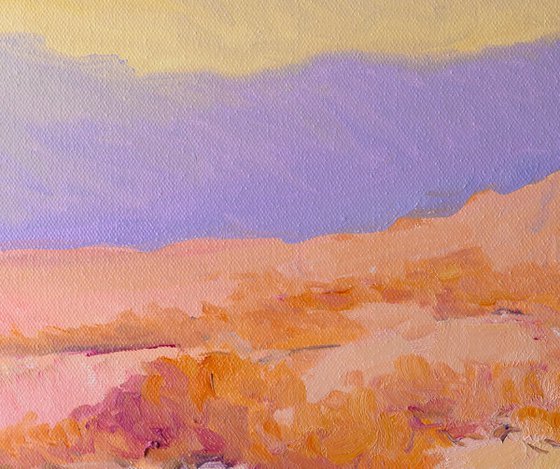 Soft Evening Light