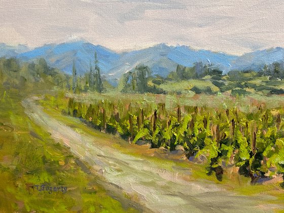 Vines and Blue Hills of Napa Valley