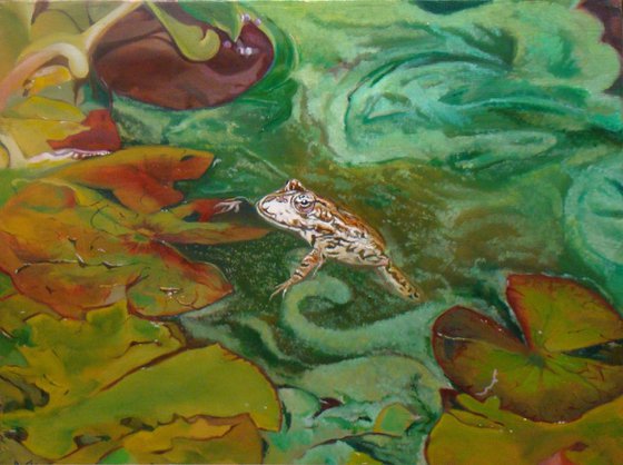 Frog and Water lilies