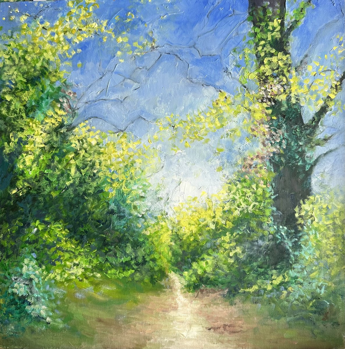 Impressionistic Landscape Oil Painting By Clare Hoath, 16 X 16, Wendover Woods, Original Artwork