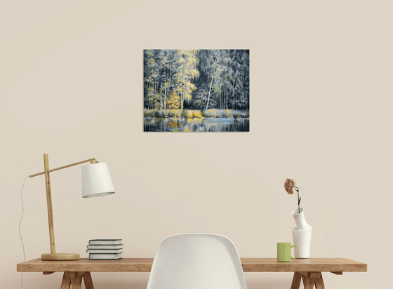 Forest edge