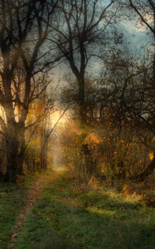 Abandoned park by Vlad Durniev