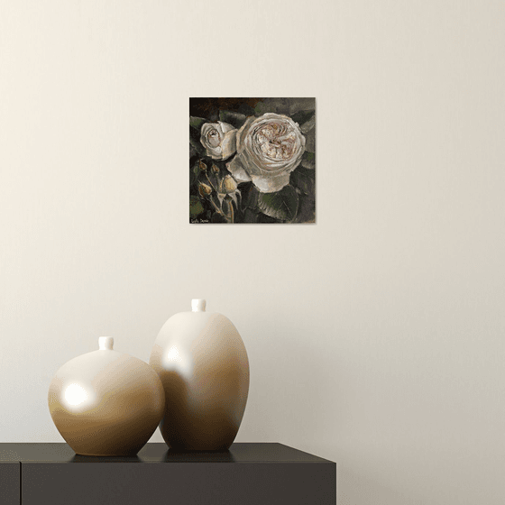 Pink roses still life