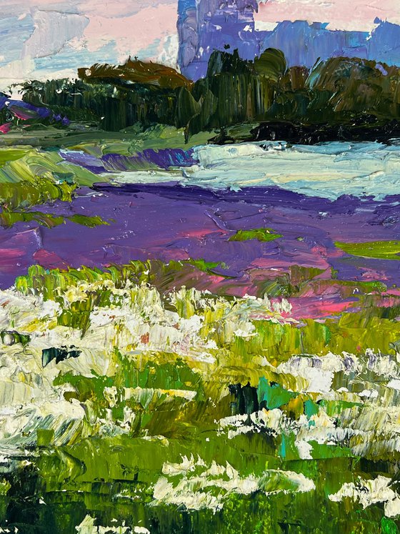 Meadows of Growing Flowers